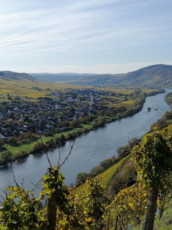 Weingut Licht-Stadtfeld Браунеберґ Екстер'єр фото