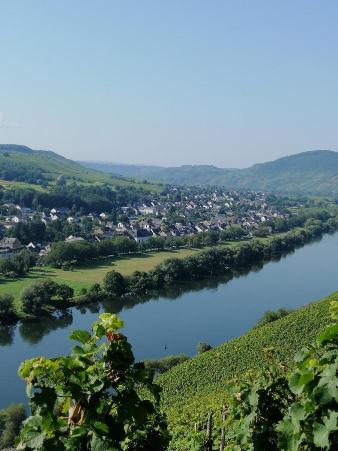 Weingut Licht-Stadtfeld Браунеберґ Екстер'єр фото